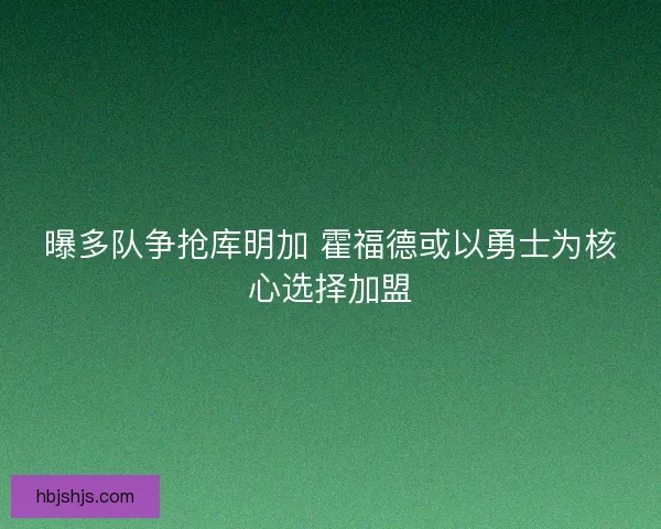 曝多队争抢库明加 霍福德或以勇士为核心选择加盟